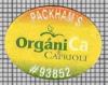 24877