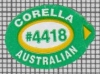 68066
