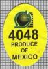 23564