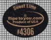 71336