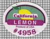 43856