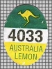 65732