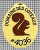 66058