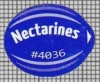 66615