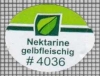 66668