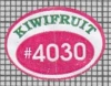 73399