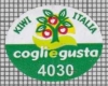 73400