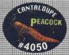 19287