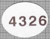 29504