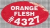 67804