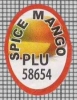 66365