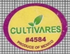 67913
