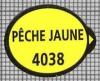 24951