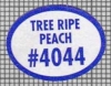 73454
