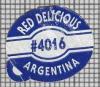33905