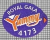 65782