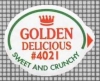 66452