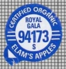 67878