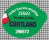 68507