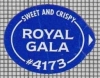 77663