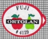 86567