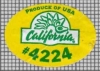 71764