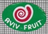 75543