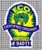 66789