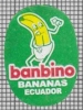 76520