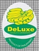 81657