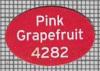 23844